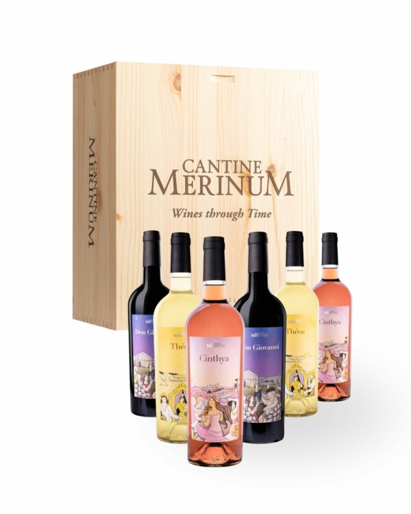 Selezione di Vini in confezione da 6 bottiglie in legno